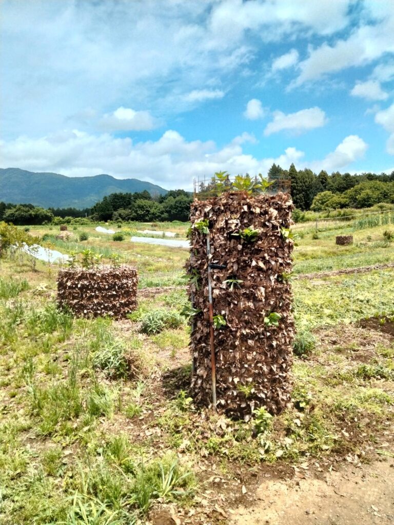 ワイヤーメッシュで作った落ち葉堆肥の様子